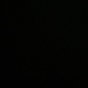 Meet your Posher, Riley